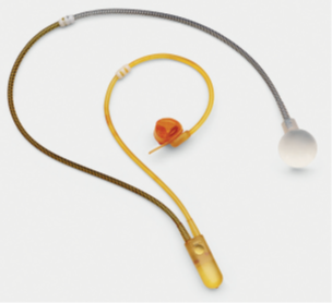 Artificial Urinary Sphincter (AUS) Artificial Urinary Sphincter (AUS)